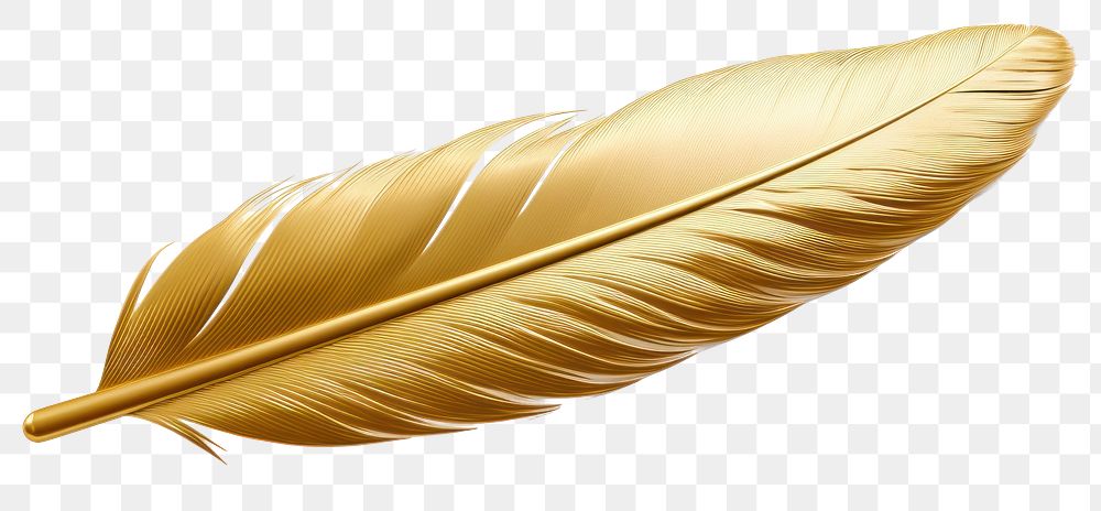 PNG Feather jewelry gold leaf.