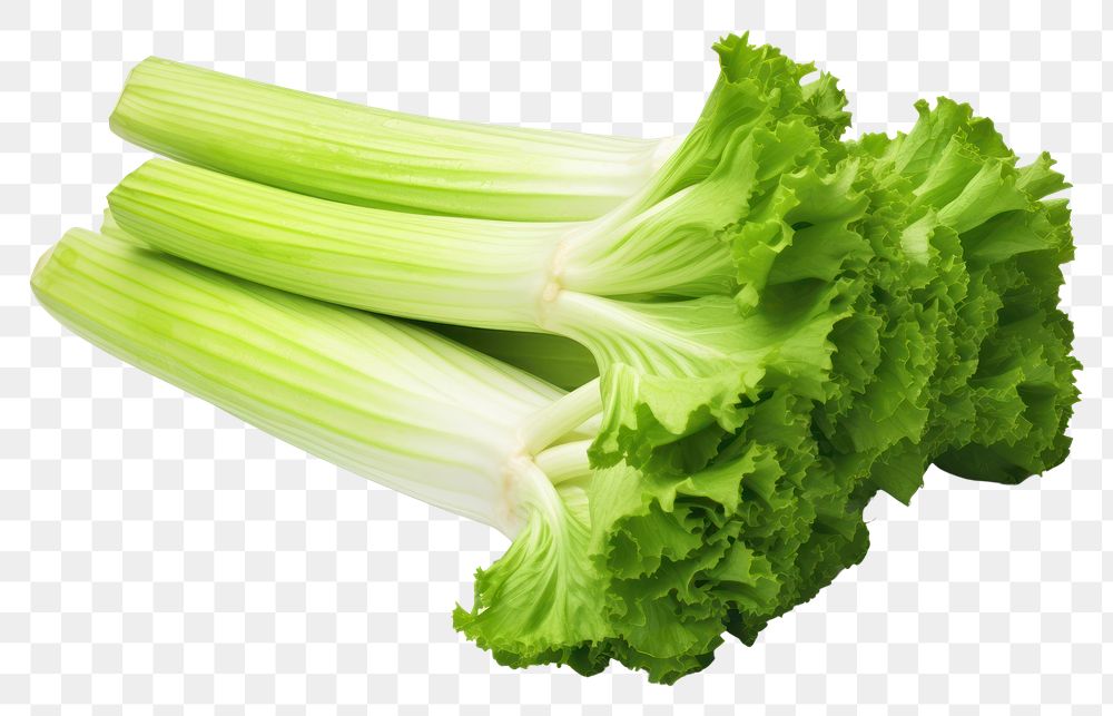 PNG Celery vegetable lettuce plant. AI generated Image by rawpixel.