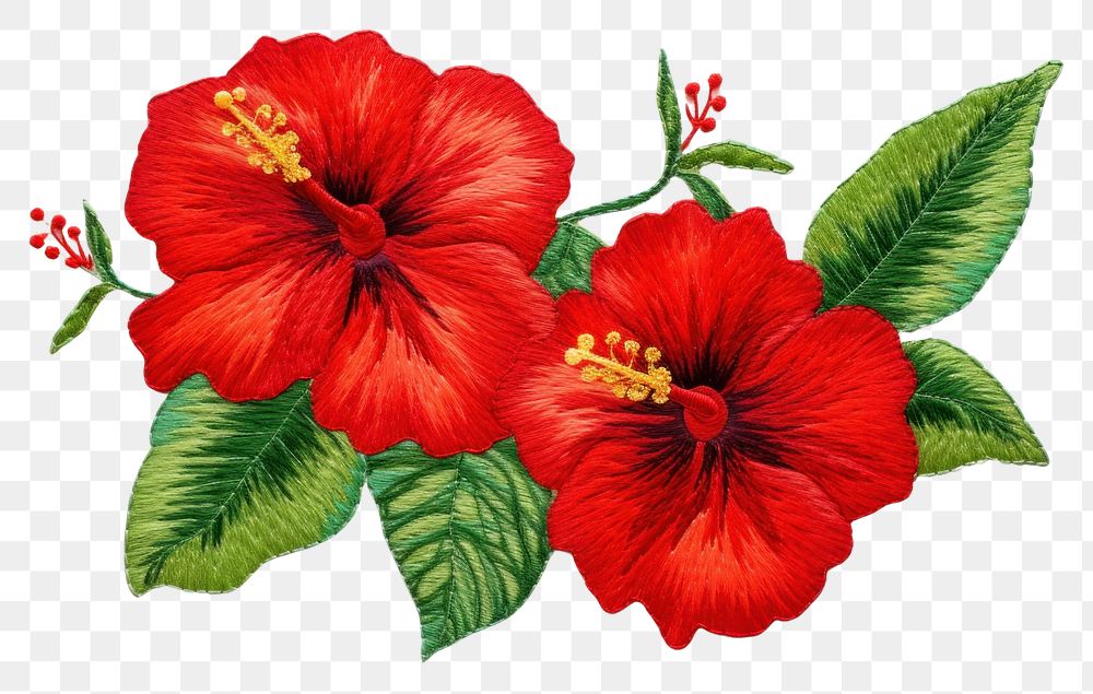 PNG  Embroidery hibiscus flower plant.