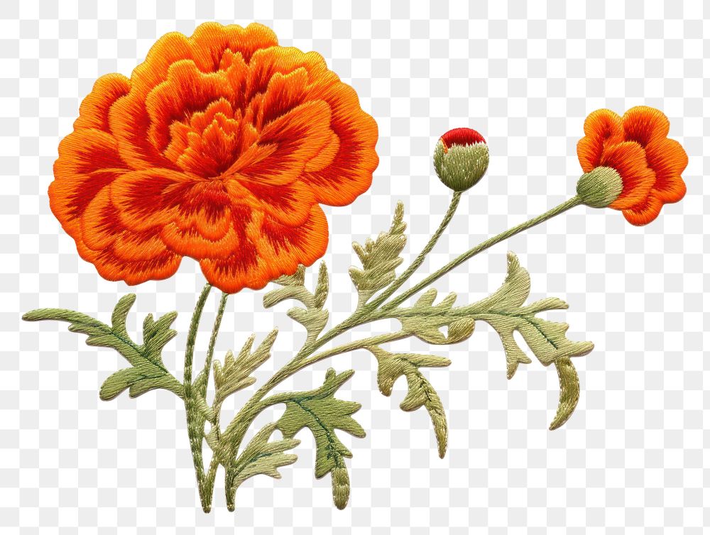 PNG  Embroidery marigold flower plant.