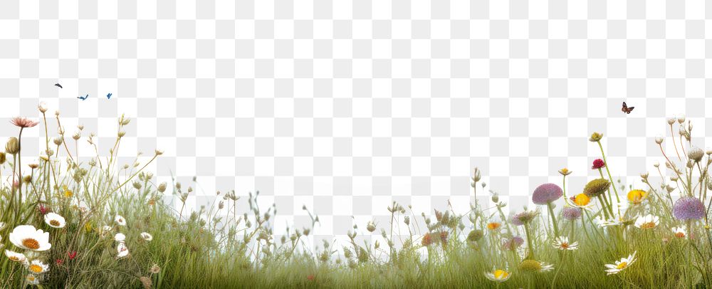 PNG Meadow hills landscape nature backgrounds. AI generated Image by rawpixel.
