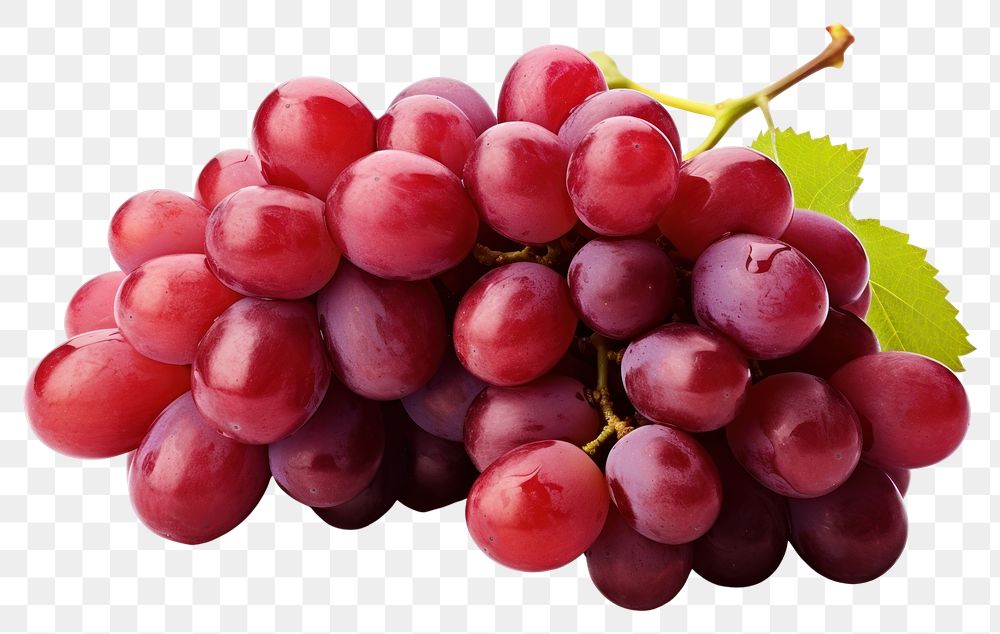 PNG Red wine grapes fruit plant.