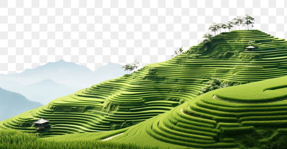 PNG Rice terraces landscape nature outdoors. AI generated Image by rawpixel.