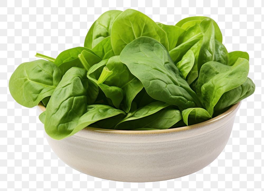 PNG Spinach in a bowl vegetable plant food. AI generated Image by rawpixel.