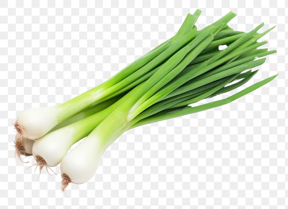 PNG Spring onion vegetable plant food. AI generated Image by rawpixel.