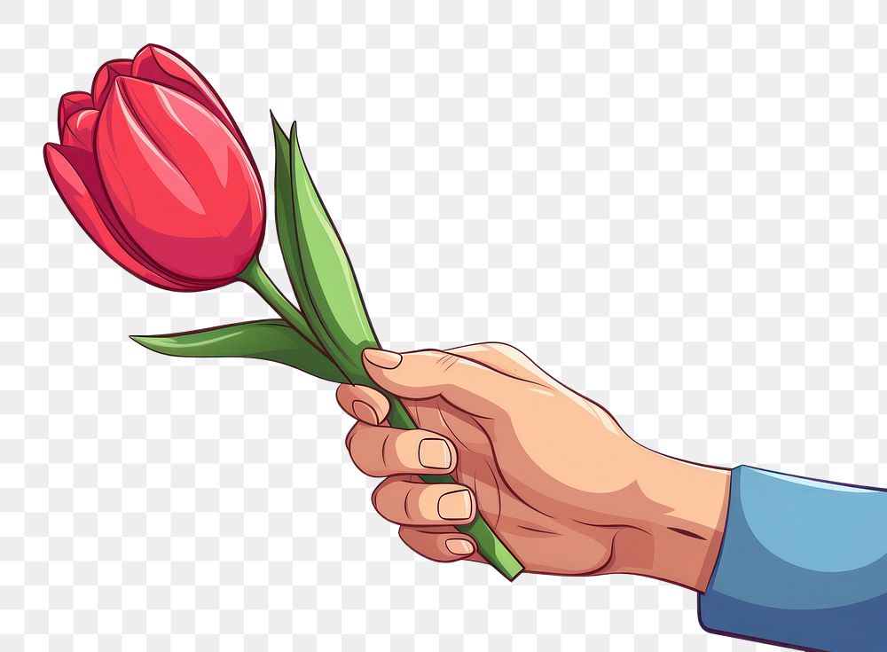 PNG Human hand holding a tulip cartoon flower plant.
