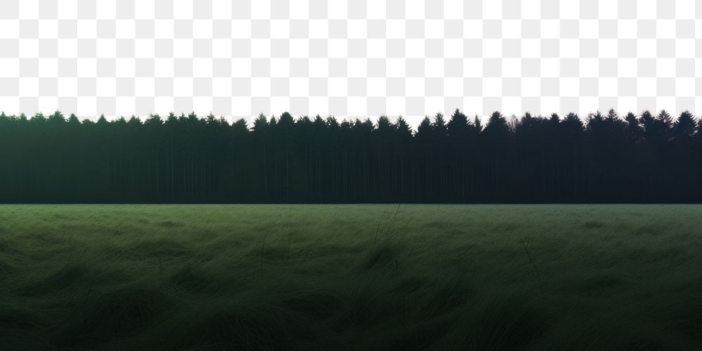 PNG Forest field landscape grassland. AI generated Image by rawpixel.