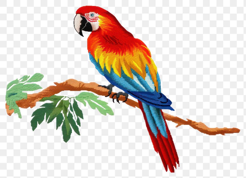 PNG Parrot in embroidery style animal bird creativity.