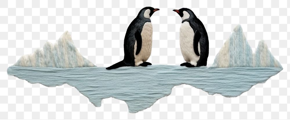 PNG Penguins with iceberg in embroidery animal bird togetherness.