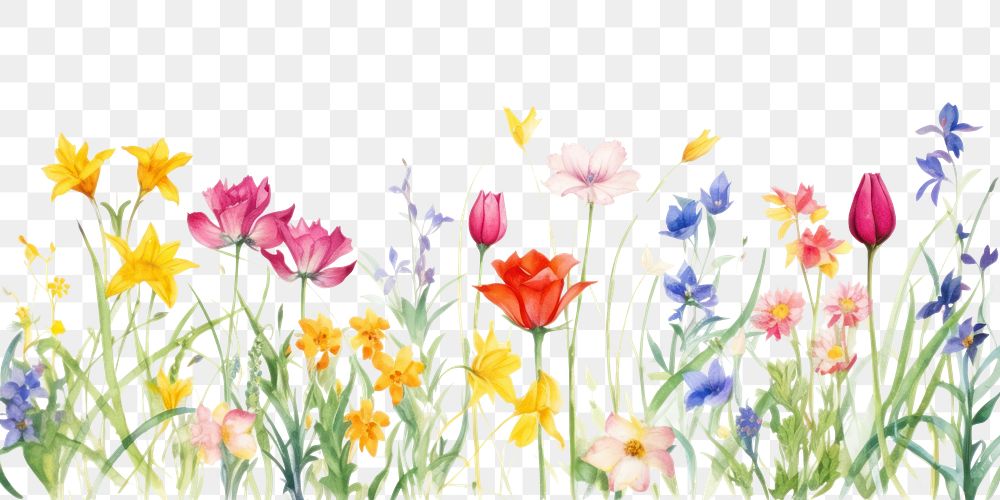 PNG  Colorful spring flowers nature backgrounds outdoors.