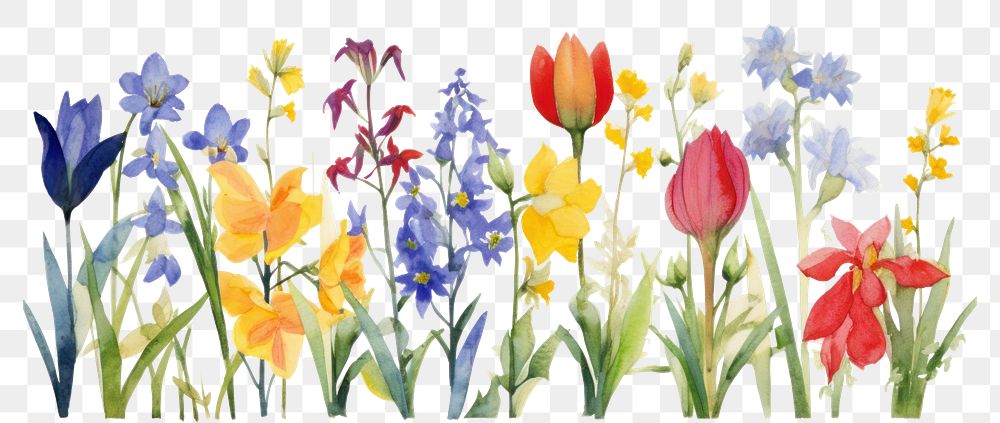 PNG  Colorful spring flowers nature painting outdoors.