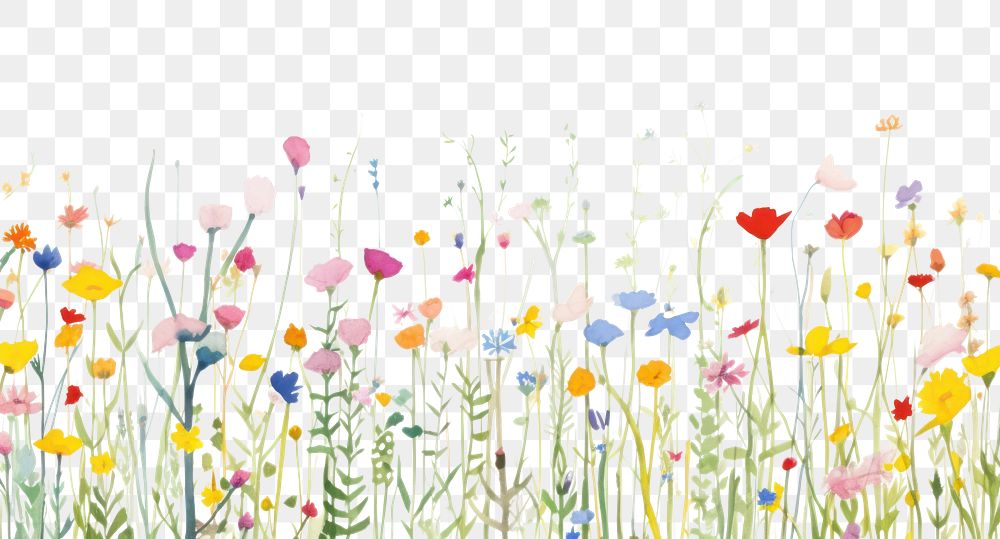 PNG  Pastel flower field nature backgrounds outdoors.
