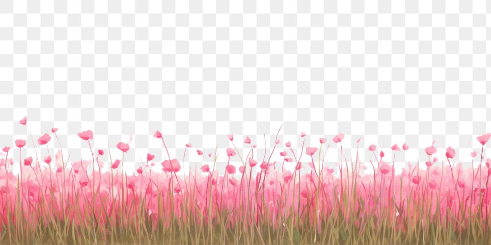 PNG  Pink flower field nature outdoors grass.