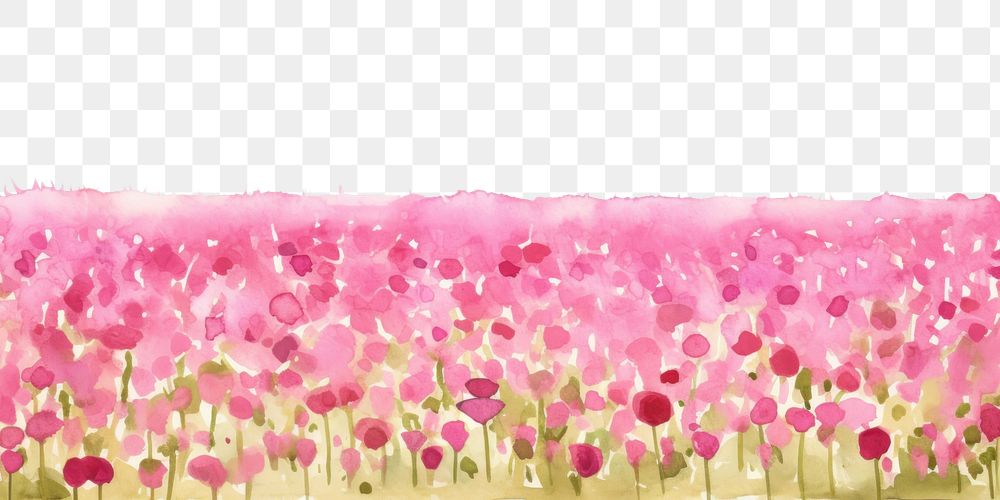 PNG  Pink flower field backgrounds outdoors nature.