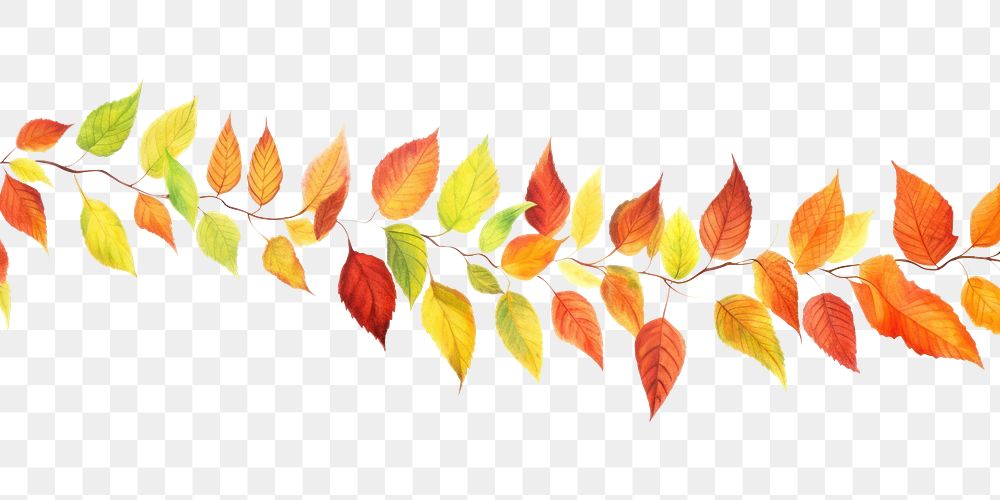PNG  Autumn leaves backgrounds pattern plant.