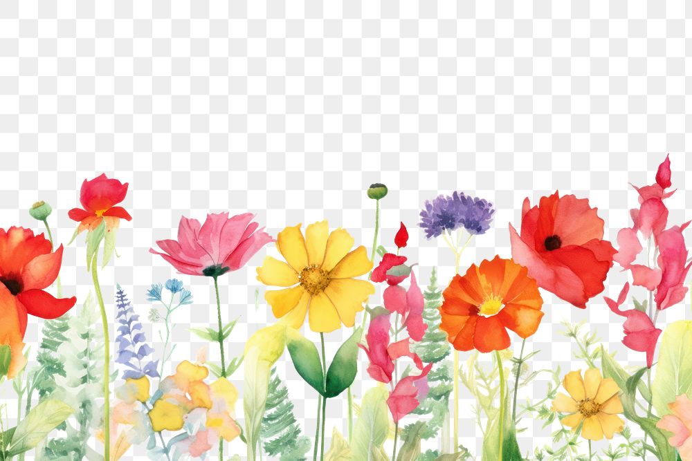 PNG  Flowers backgrounds outdoors pattern.