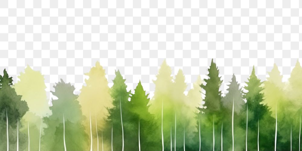 PNG  Green forest nature backgrounds outdoors.
