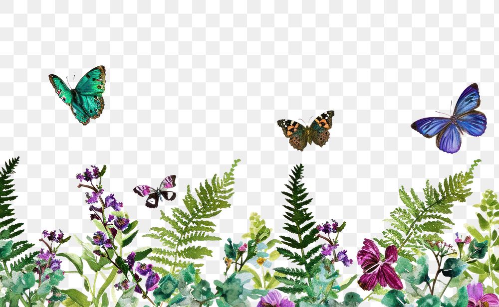 PNG  Butterfly nature flower insect.