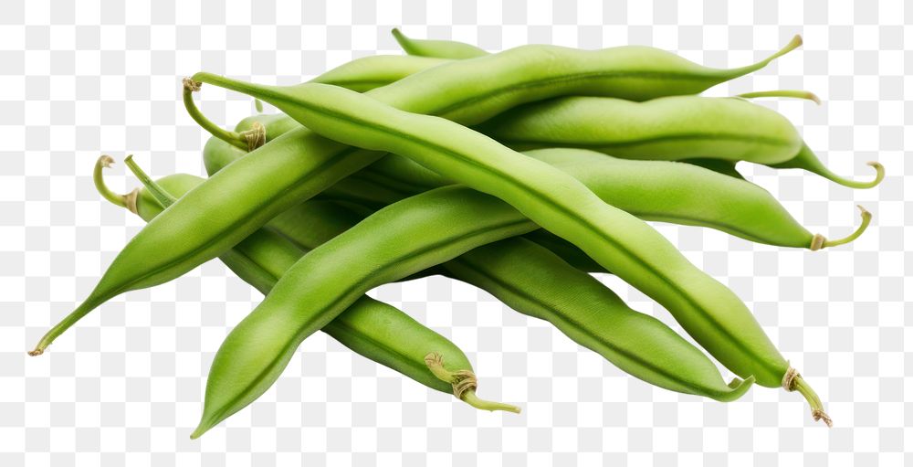 PNG  Green beans vegetable green plant.