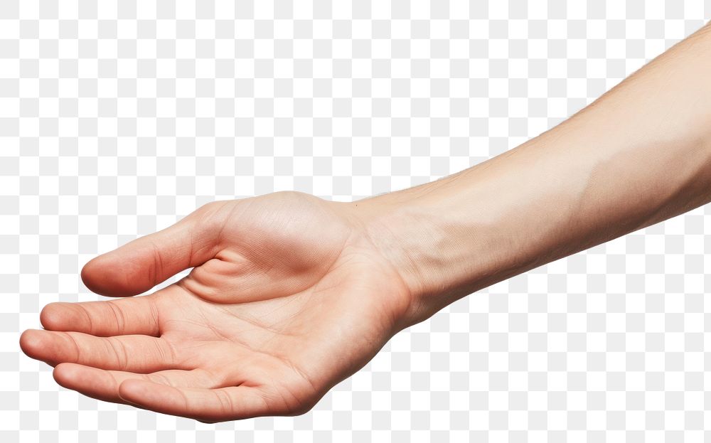 PNG  Holding hand finger handshake gesturing.