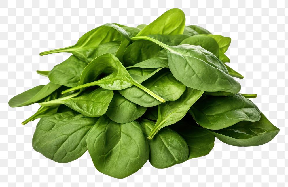 PNG  Fresh spinach leaves vegetable plant food.
