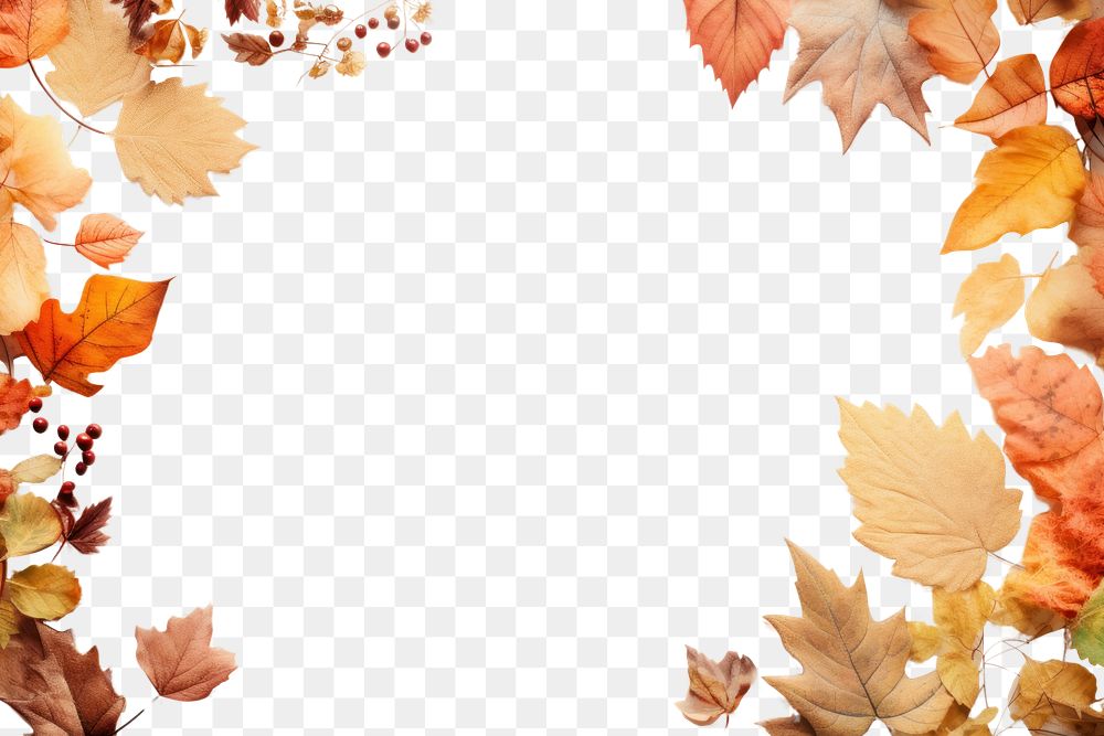 PNG Autumn frame backgrounds leaves plant. AI generated Image by rawpixel.