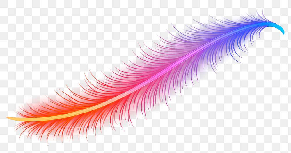 PNG Feather border pattern nature light. AI generated Image by rawpixel.