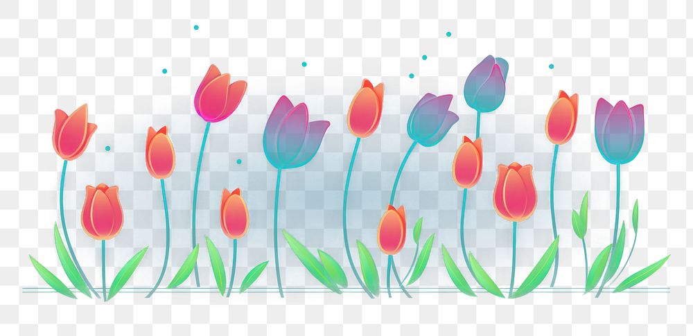 PNG Tulips border outdoors flower plant. AI generated Image by rawpixel.
