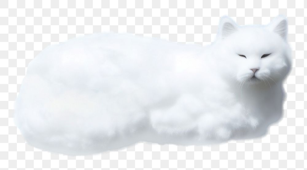 PNG  Cat shaped as a cloud sky outdoors animal.