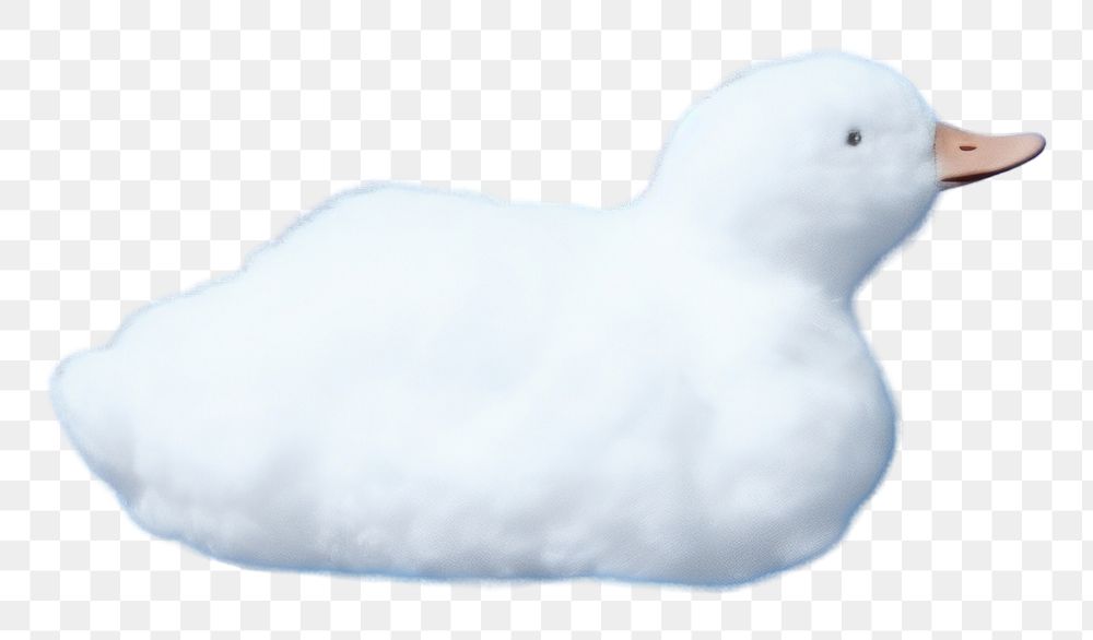 PNG  Duck shaped as a cloud sky outdoors seagull.