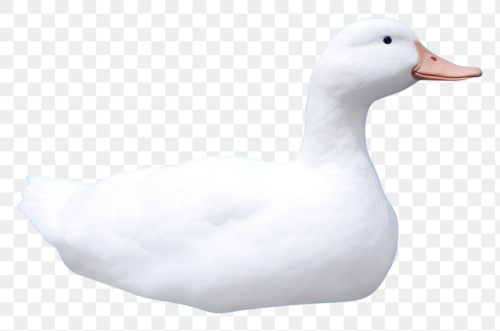 PNG  Duck shaped as a cloud animal goose bird.