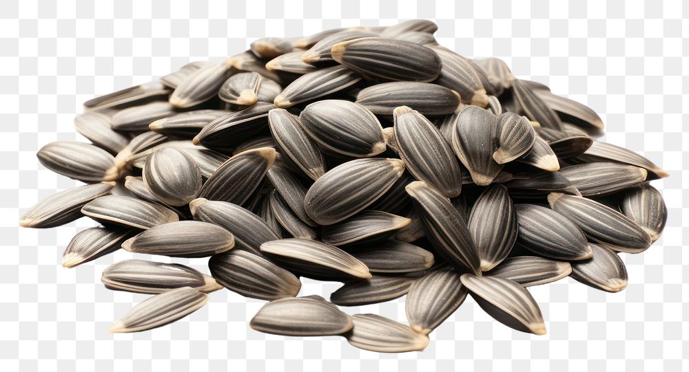 PNG Heap of sunflower seed food white background ingredient.