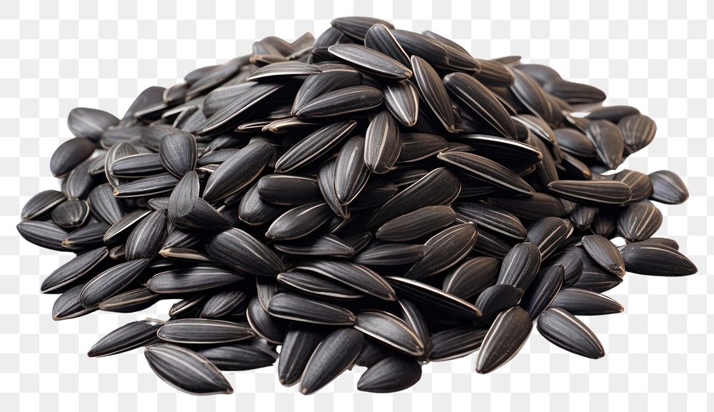 PNG Heap of sunflower seed food white background freshness.