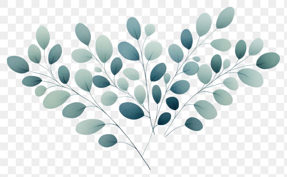 PNG Eucalyptus pattern plant leaf.