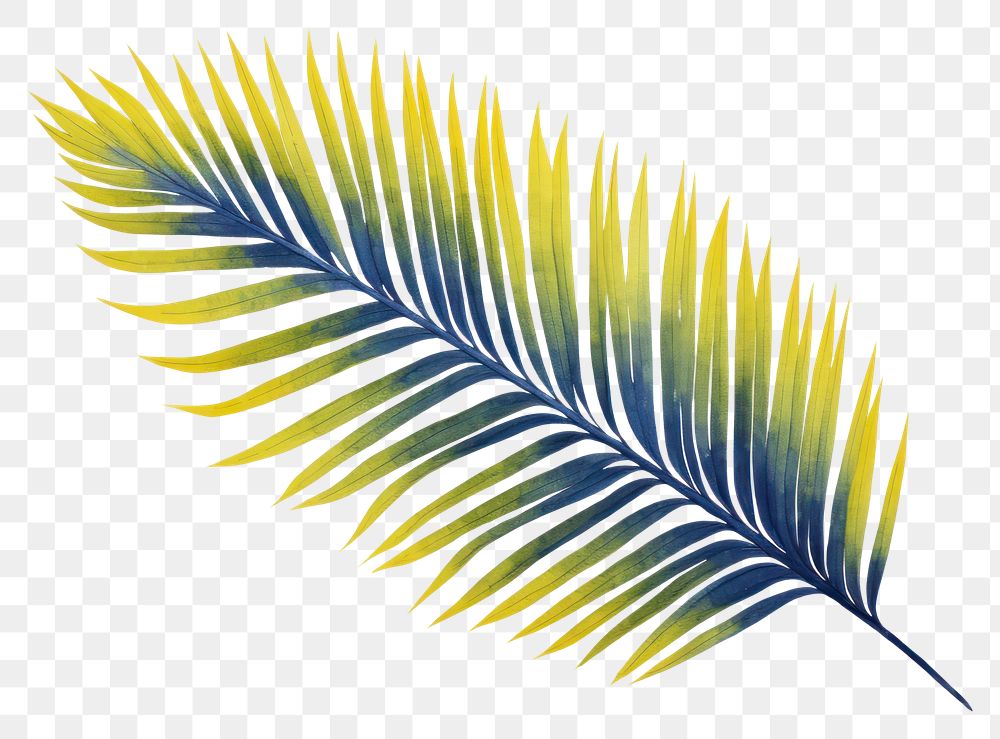 PNG Palm leaf plant art vegetation.