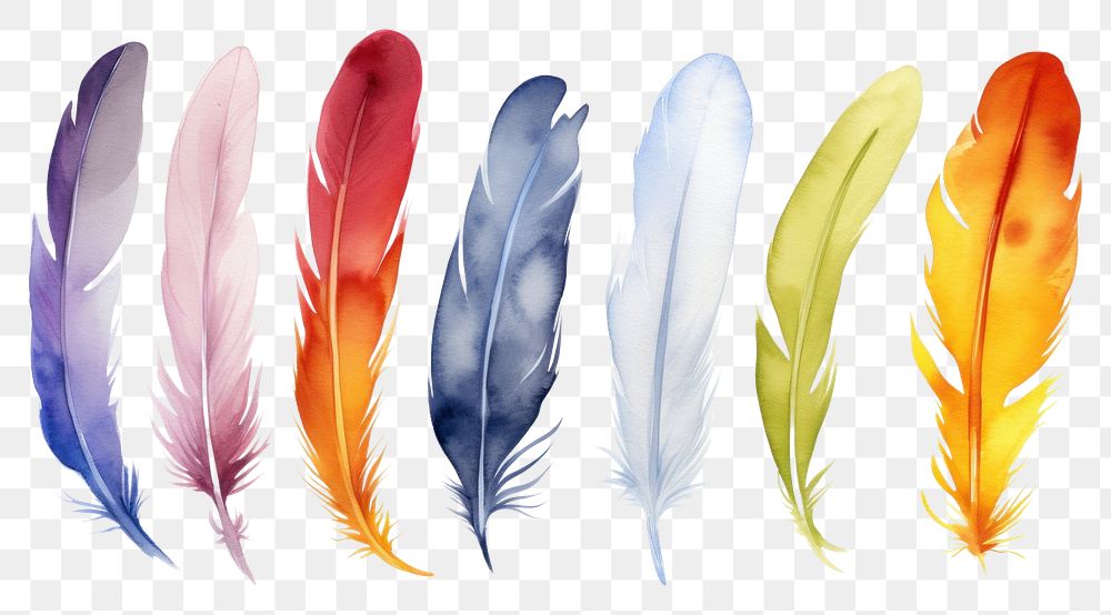 PNG Feathers white background lightweight creativity.
