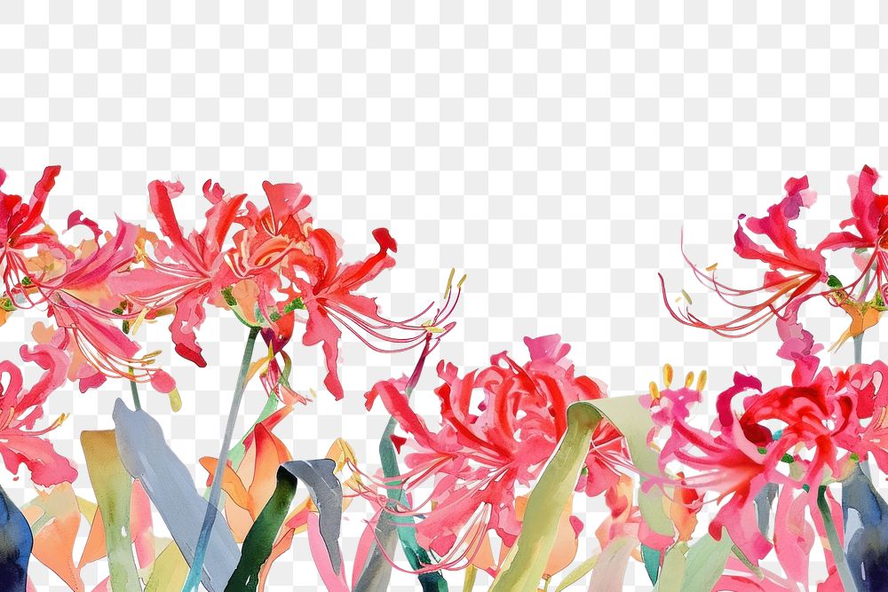 PNG Nerine and leaves flower nature plant.