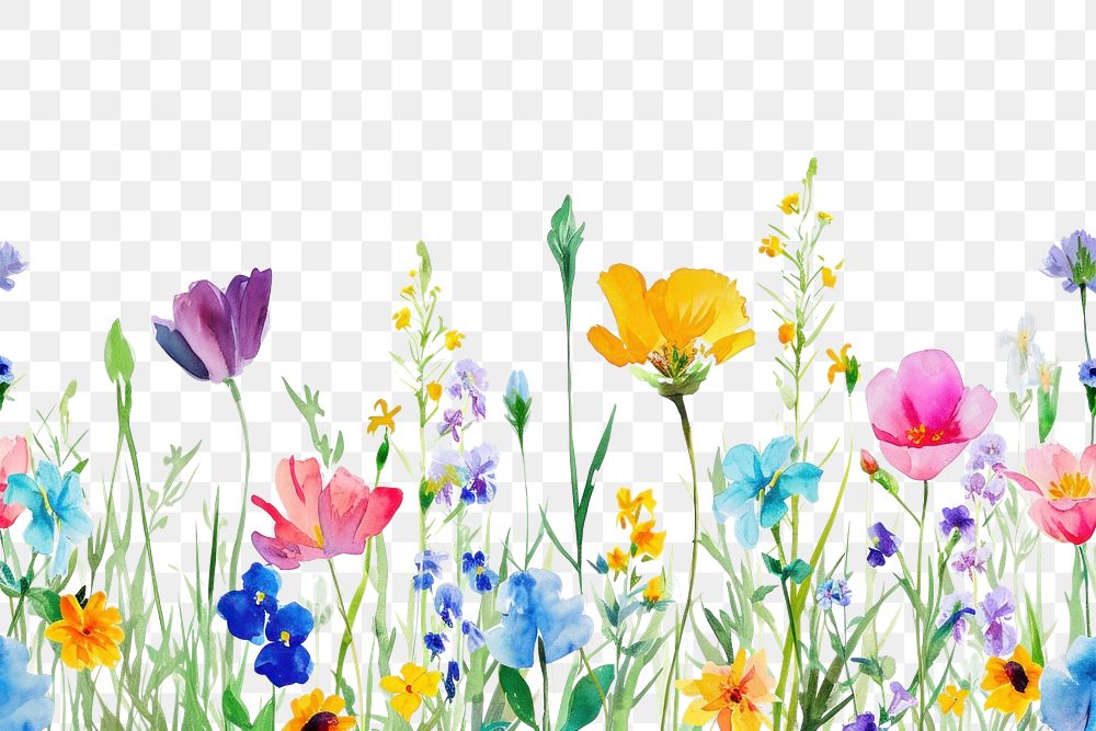 PNG Spring flowers nature backgrounds outdoors