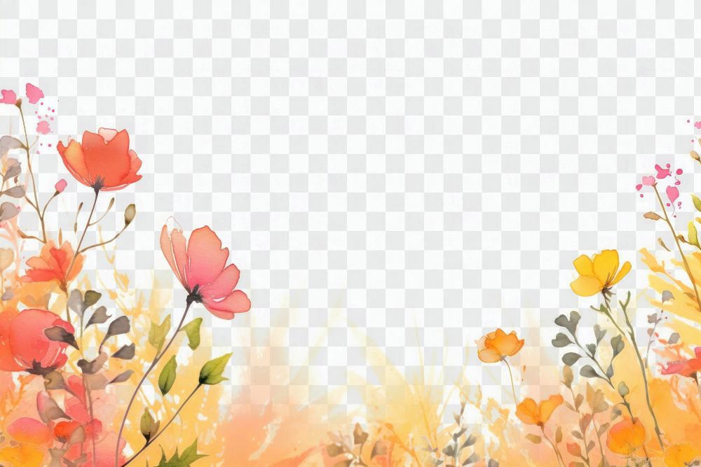 PNG Spring and summer flower backgrounds sunlight. AI generated Image by rawpixel.
