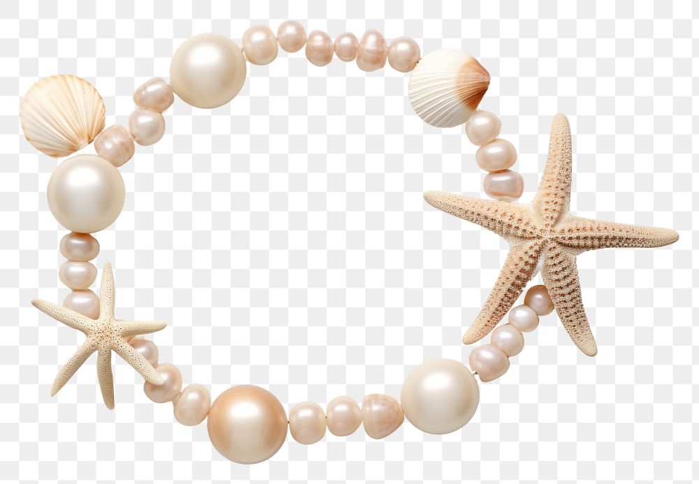 PNG Seashell bracelet necklace jewelry pearl