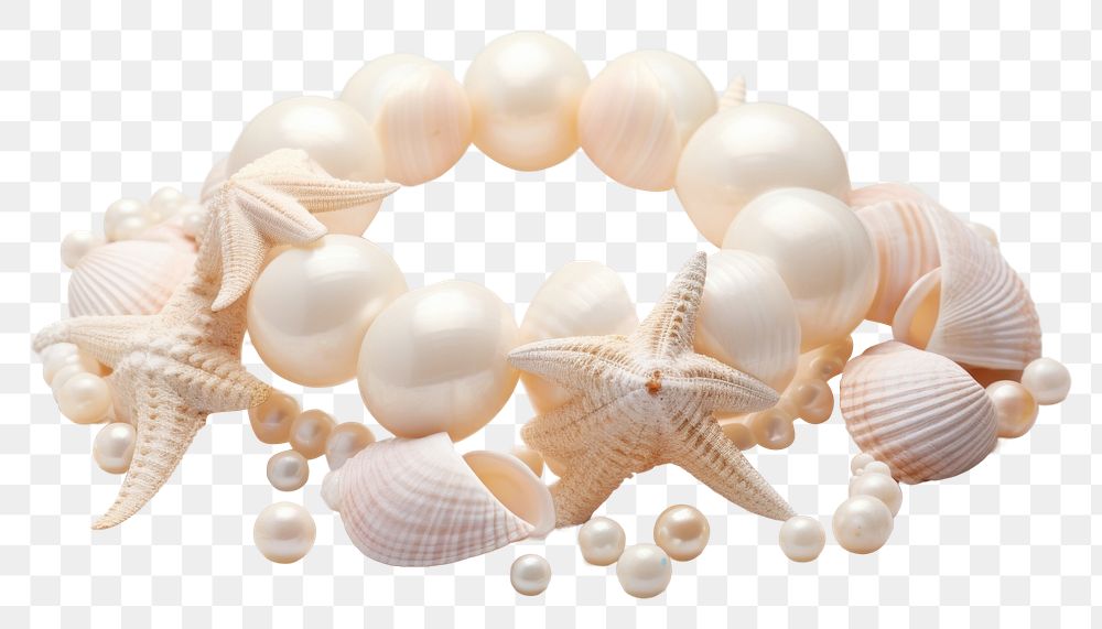 PNG Seashell bracelet jewelry pearl pill