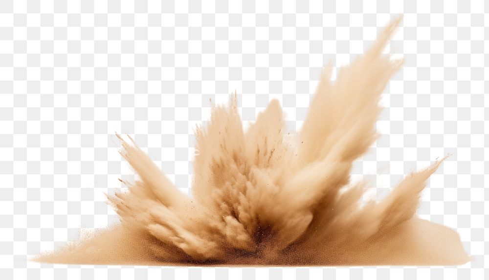 PNG  A Sand flying explosion white background splattered exploding.
