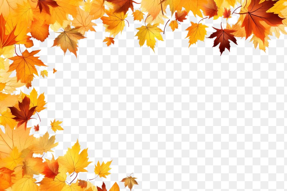 PNG Various orange and yellow fall leaves falling down backgrounds maple plant.