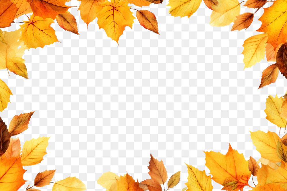 PNG Various orange and yellow fall leaves falling down backgrounds plant maple.