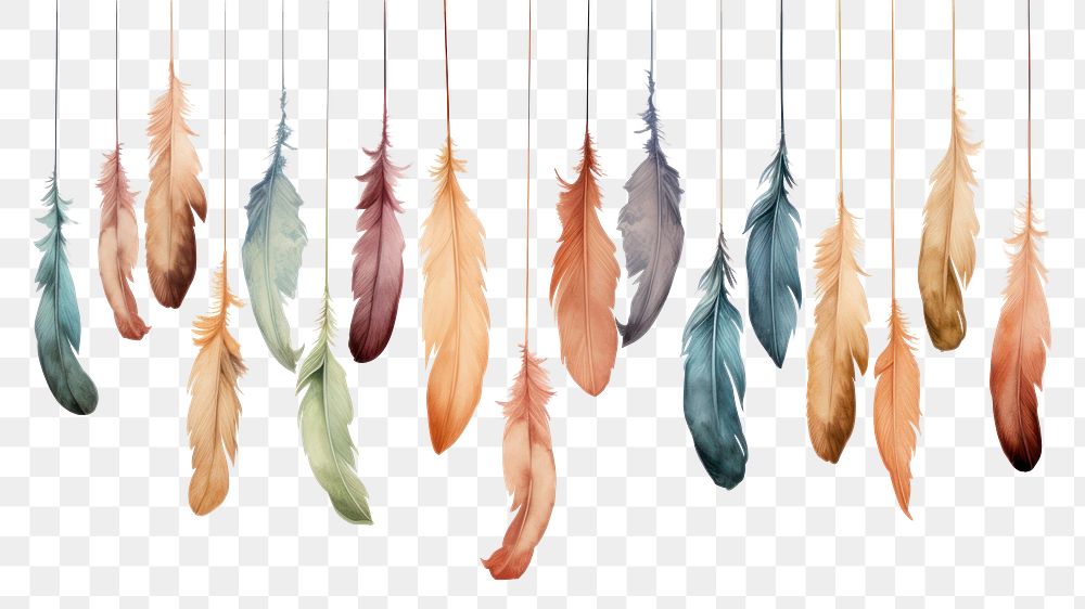PNG Feathers hanging lightweight accessories.