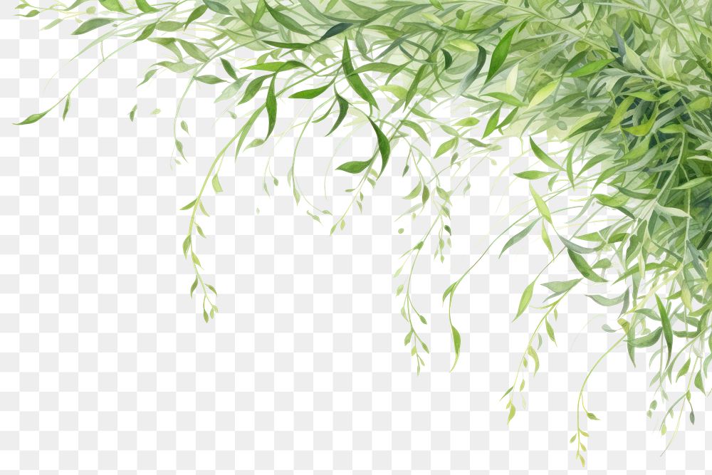 PNG Grass element border plant herbs leaf.