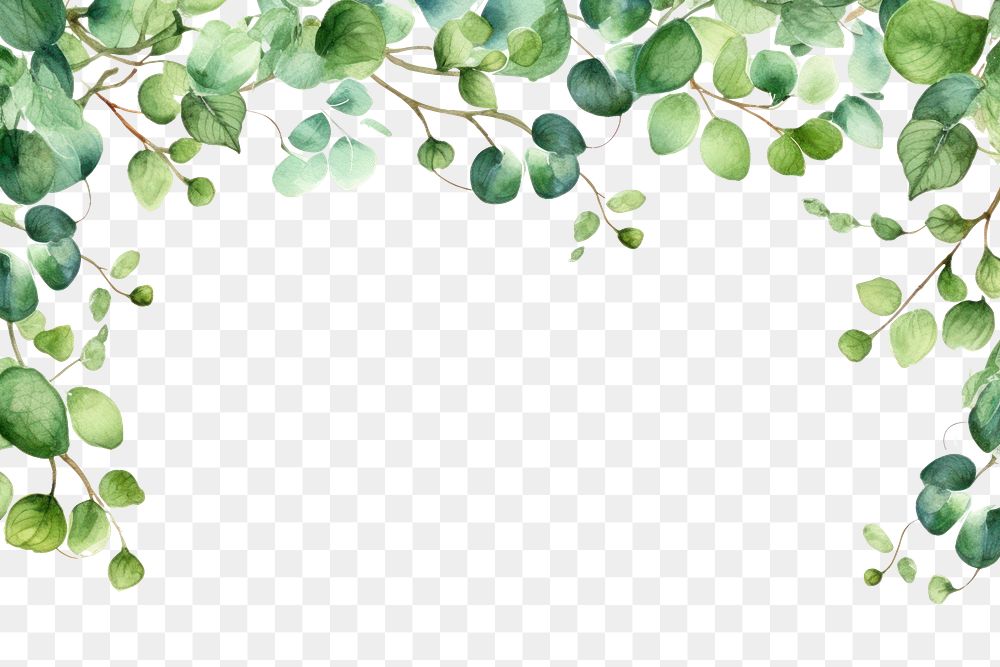 PNG Green element border plant leaf backgrounds.