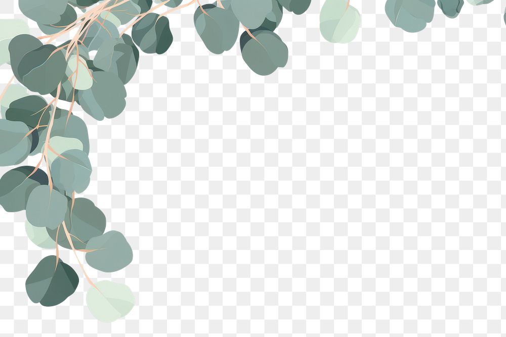 PNG  Eucalyptus frame backgrounds pattern plant. AI generated Image by rawpixel.