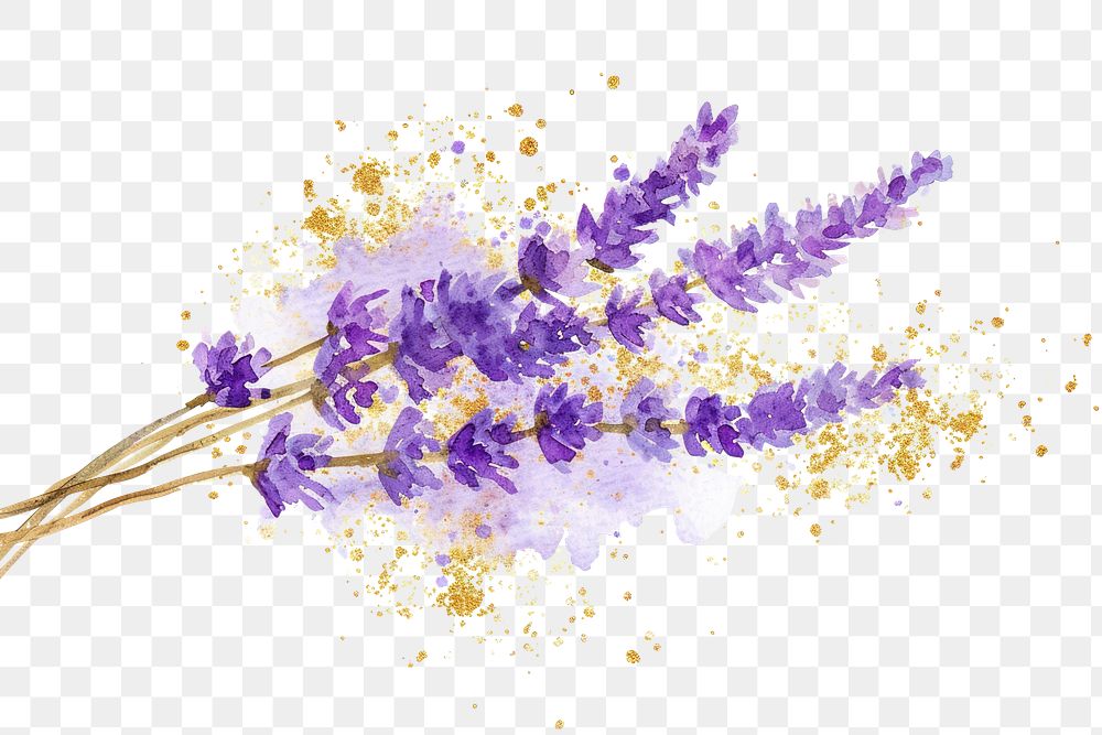 PNG Golden glitter outline stroke with purple watercolor lavender blossom flower plant.