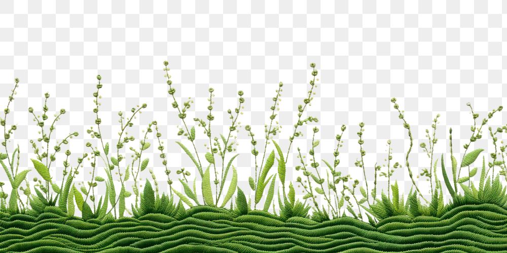 PNG Embroidery of a grass border backgrounds outdoors nature.